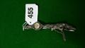 Lot 455 Image
