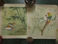 Lot 35 Image