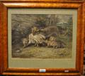 Lot 8 Image