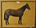Lot 9 Image
