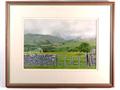 Lot 25 Image