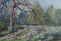 Lot 20 Image