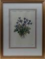 Lot 34 Image