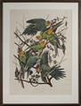Lot 525 Image