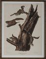 Lot 526 Image