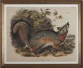 Lot 527 Image