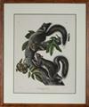 Lot 529 Image