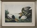 Lot 531 Image