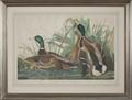 Lot 532 Image