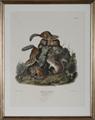 Lot 533 Image
