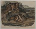 Lot 534 Image