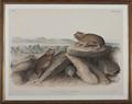Lot 535 Image