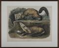 Lot 537 Image