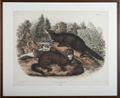 Lot 538 Image