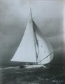 Lot 2 Image