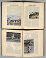 Lot 84 Image