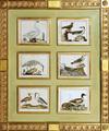Lot 505 Image