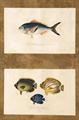 Lot 506 Image