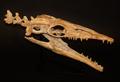 Lot 437 Image