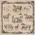 Lot 5 Image