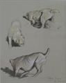 Lot 558 Image