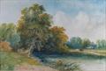Lot 559 Image