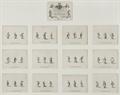 Lot 3 Image