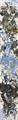 Lot 20 Image