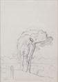 Lot 31 Image