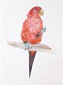Lot 222 Image