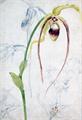 Lot 27 Image