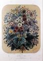 Lot 6 Image