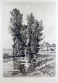 Lot 7 Image