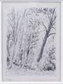 Lot 37 Image