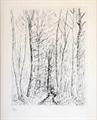 Lot 22 Image
