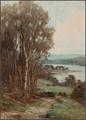 Lot 12 Image