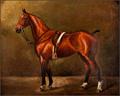 Lot 24 Image