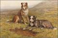 Lot 8 Image