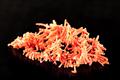 Lot 40 Image