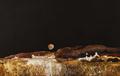 Lot 152 Image