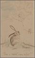 Lot 35 Image