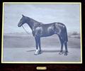 Lot 11 Image