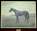 Lot 12 Image