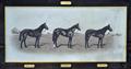 Lot 13 Image