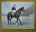 Lot 3 Image
