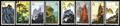 Lot 24 Image