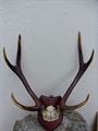 Lot 10 Image