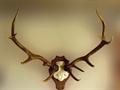 Lot 11 Image