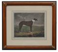 Lot 19 Image