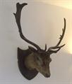 Lot 9 Image